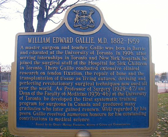 Picture of William Gallie, MD