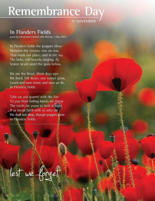 Flanders Fields